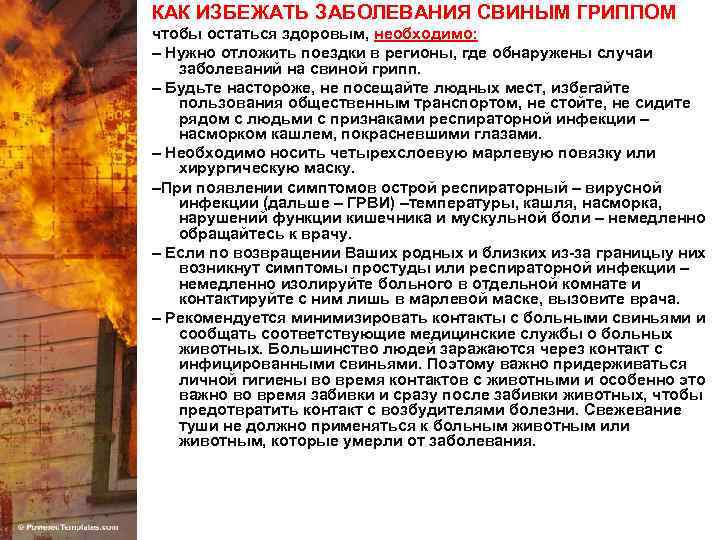 КАК ИЗБЕЖАТЬ ЗАБОЛЕВАНИЯ СВИНЫМ ГРИППОМ чтобы остаться здоровым, необходимо: – Нужно отложить поездки в