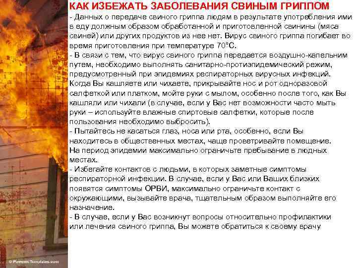 КАК ИЗБЕЖАТЬ ЗАБОЛЕВАНИЯ СВИНЫМ ГРИППОМ - Данных о передаче свиного гриппа людям в результате