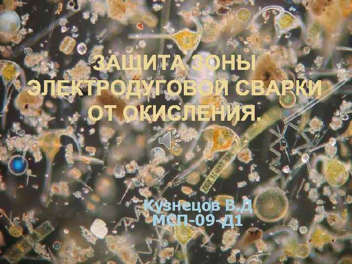 ЗАЩИТА ЗОНЫ ЭЛЕКТРОДУГОВОЙ СВАРКИ ОТ ОКИСЛЕНИЯ. Кузнецов В. Д МСП-09 -Д 1 