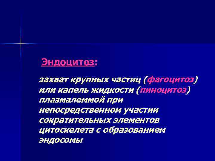 Эндоцитоз: захват крупных частиц (фагоцитоз) или капель жидкости (пиноцитоз) плазмалеммой при непосредственном участии сократительных