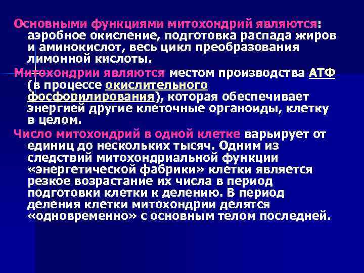 Основными функциями митохондрий являются: аэробное окисление, подготовка распада жиров и аминокислот, весь цикл преобразования