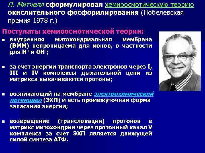 П. Митчелл сформулировал хемиоосмотическую теорию окислительного фосфорилирования (Нобелевская премия 1978 г. ) Постулаты хемиоосмотической