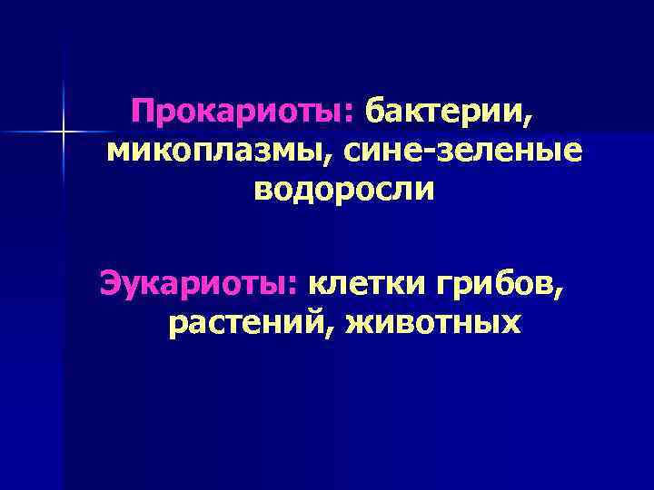 Прокариоты: бактерии, микоплазмы, сине-зеленые водоросли Эукариоты: клетки грибов, растений, животных 