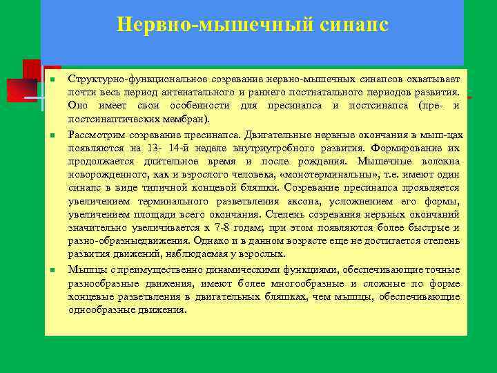 Нервно-мышечный синапс n n n Структурно функциональное созревание нервно мышечных синапсов охватывает почти весь