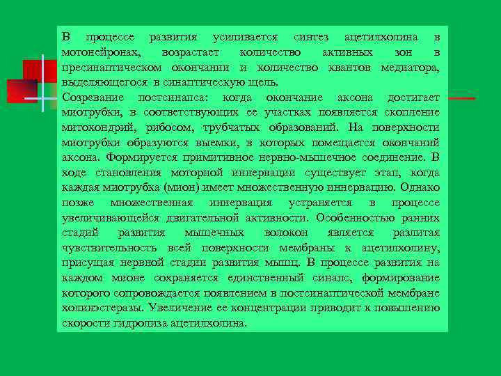 В процессе развития усиливается синтез ацетилхолина в мотонейронах, возрастает количество активных зон в пресинаптическом
