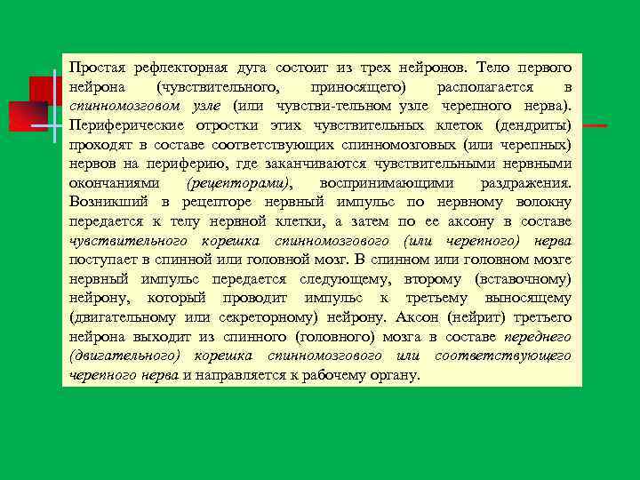Простая рефлекторная дуга состоит из трех нейронов. Тело первого нейрона (чувствительного, приносящего) располагается в