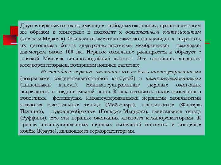 Другие нервные волокна, имеющие свободные окончания, проникают таким же образом в эпидермис и подходят