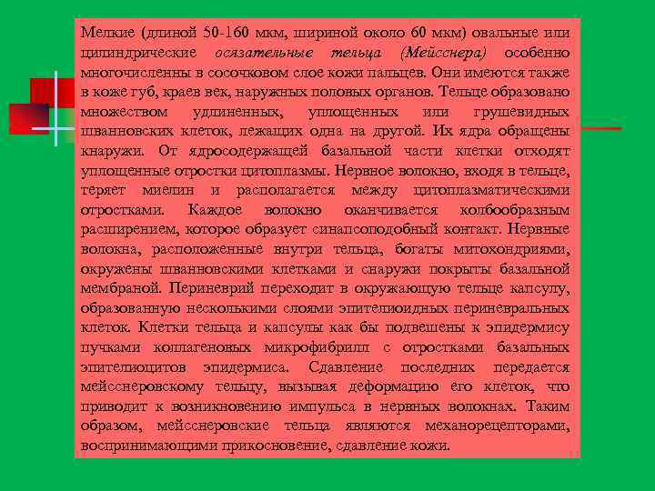 Мелкие (длиной 50 160 мкм, шириной около 60 мкм) овальные или цилиндрические осязательные тельца