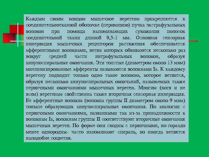 Каждым своим концом мышечное веретено прикрепляется к соединительнотканной оболочке (перимизию) пучка экстрафузальных волокон при