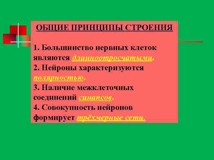 ОБЩИЕ ПРИНЦИПЫ СТРОЕНИЯ 1. Большинство нервных клеток являются длинноотросчатыми. 2. Нейроны характеризуются полярностью. 3.
