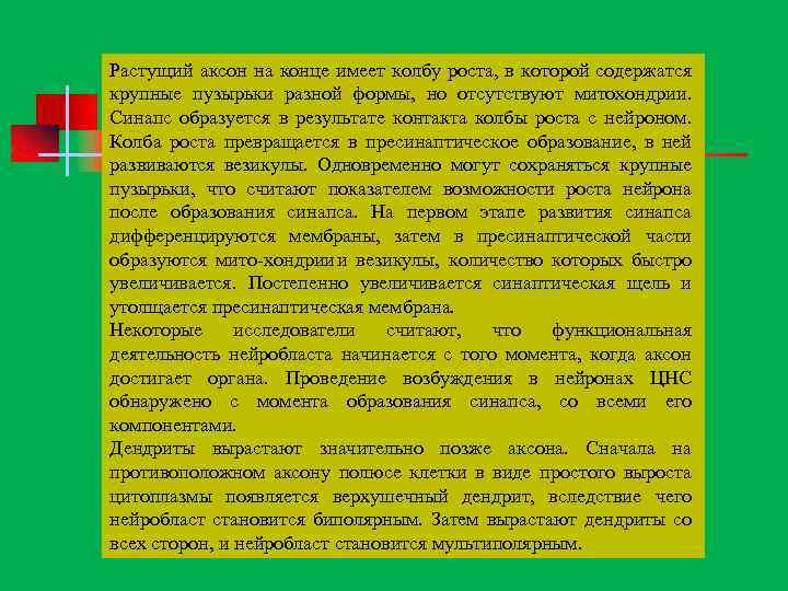 Растущий аксон на конце имеет колбу роста, в которой содержатся крупные пузырьки разной формы,