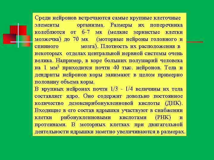 Среди нейронов встречаются самые крупные клеточные элементы организма. Размеры их поперечника колеблются от 6