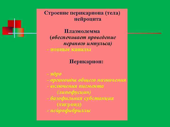 Строение перикариона (тела) нейроцита Плазмолемма (обеспечивает проведение нервного импульса) - ионные каналы Перикарион: -