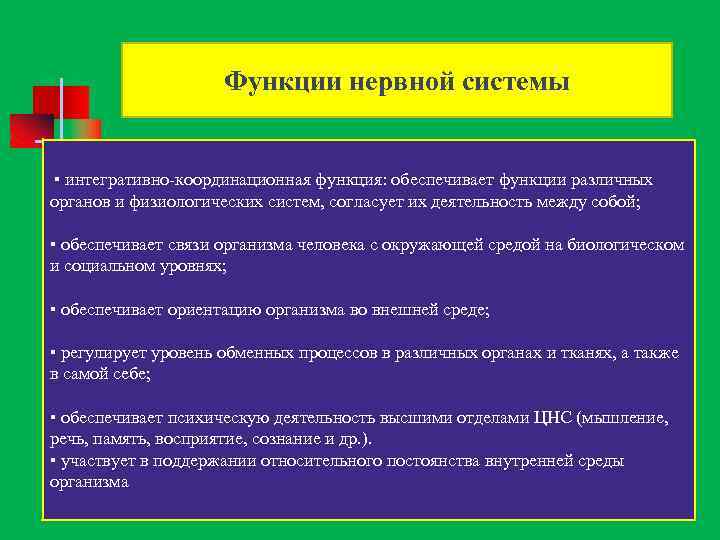 Функции нервной системы ▪ интегративно координационная функция: обеспечивает функции различных органов и физиологических систем,