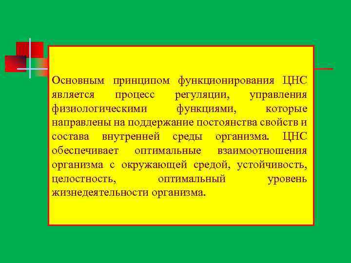 Основным принципом функционирования ЦНС является процесс регуляции, управления физиологическими функциями, которые направлены на поддержание