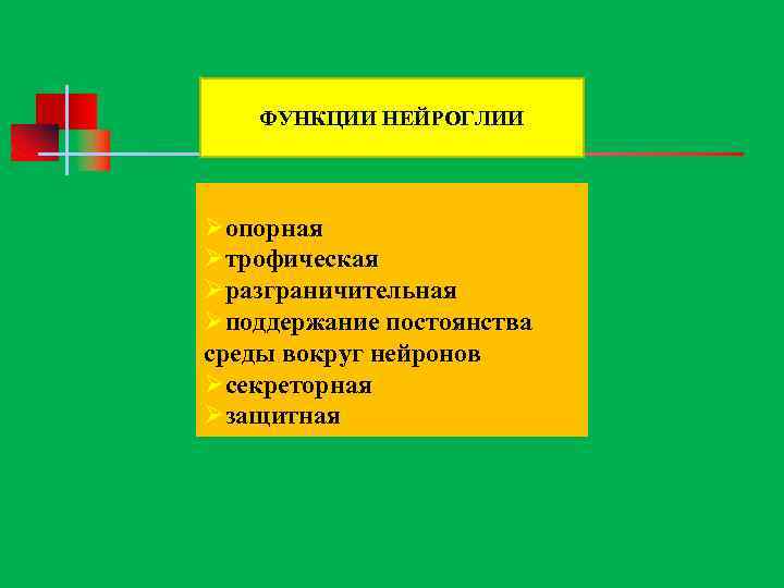 ФУНКЦИИ НЕЙРОГЛИИ Øопорная Øтрофическая Øразграничительная Øподдержание постоянства среды вокруг нейронов Øсекреторная Øзащитная 