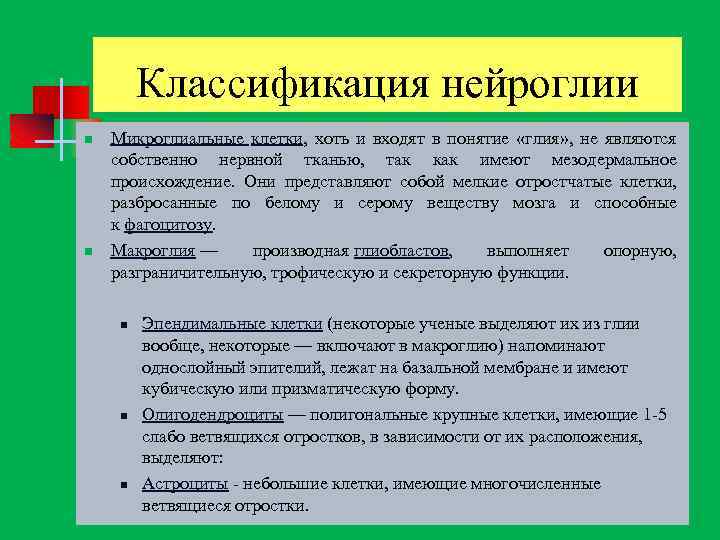 Классификация нейроглии n n Микроглиальные клетки, хоть и входят в понятие «глия» , не