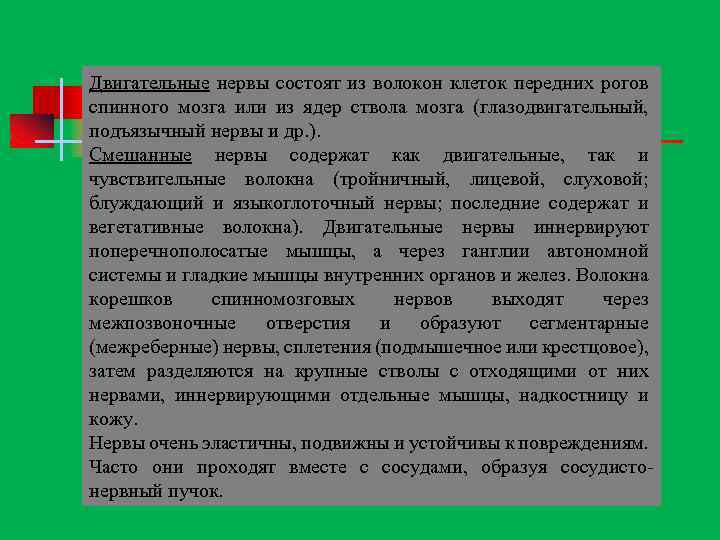 Двигательные нервы состоят из волокон клеток передних рогов спинного мозга или из ядер ствола