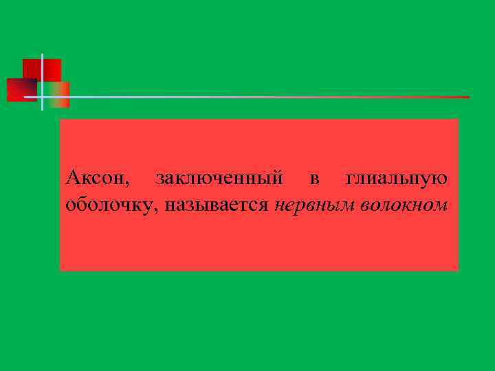  Аксон, заключенный в глиальную оболочку, называется нервным волокном 