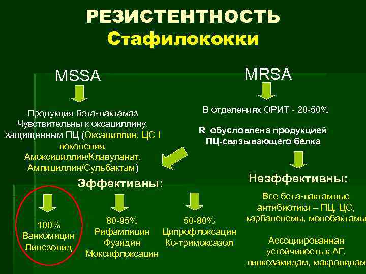 РЕЗИСТЕНТНОСТЬ Стафилококки MRSA MSSA Продукция бета лактамаз Чувствительны к оксациллину, защищенным ПЦ (Оксациллин, ЦС