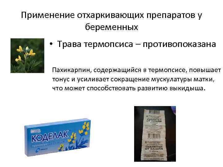 Таблетки для мокроты у взрослых отхаркивающие выведения