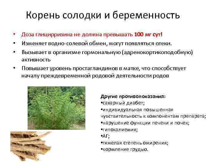  Корень солодки и беременность • Доза глицирризина не должна превышать 100 мг сут!