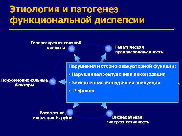 Этиология и патогенез функциональной диспепсии Гиперсекреция соляной кислоты Генетическая предрасположенность Нарушения моторно-эвакуаторной функции: •