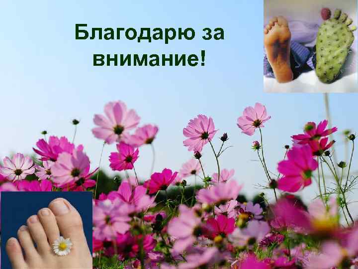 Благодарю за внимание! 