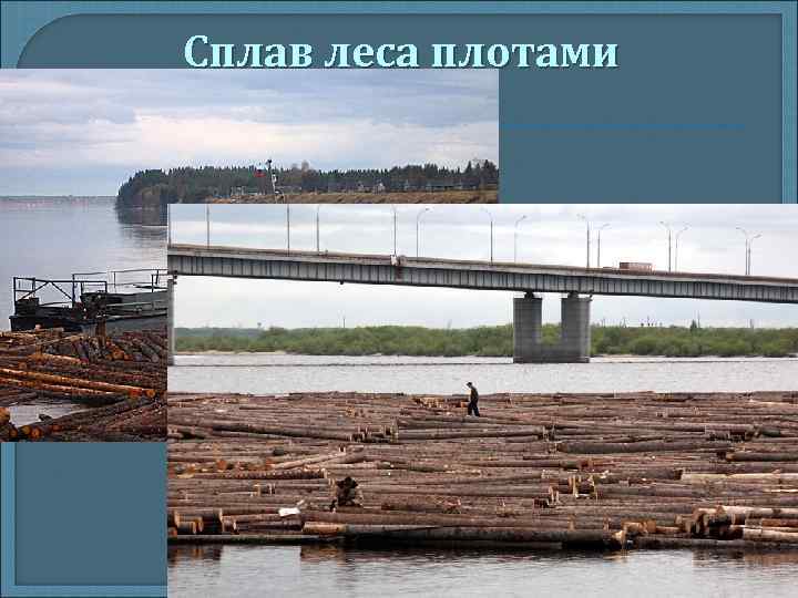 Сплав леса плотами 