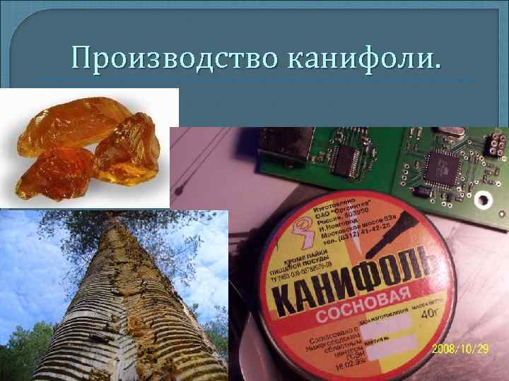 Производство канифоли. 