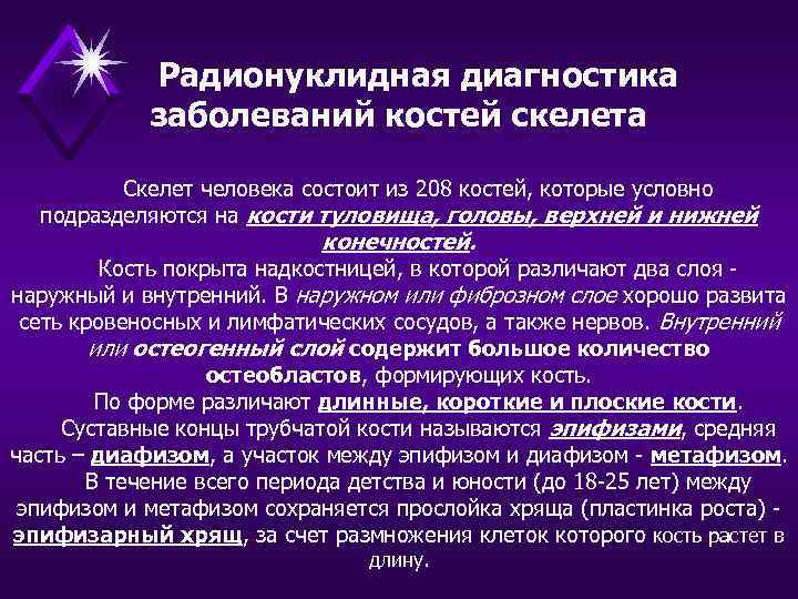 Радионуклидная диагностика заболеваний костей скелета Скелет человека состоит из 208 костей, которые условно подразделяются
