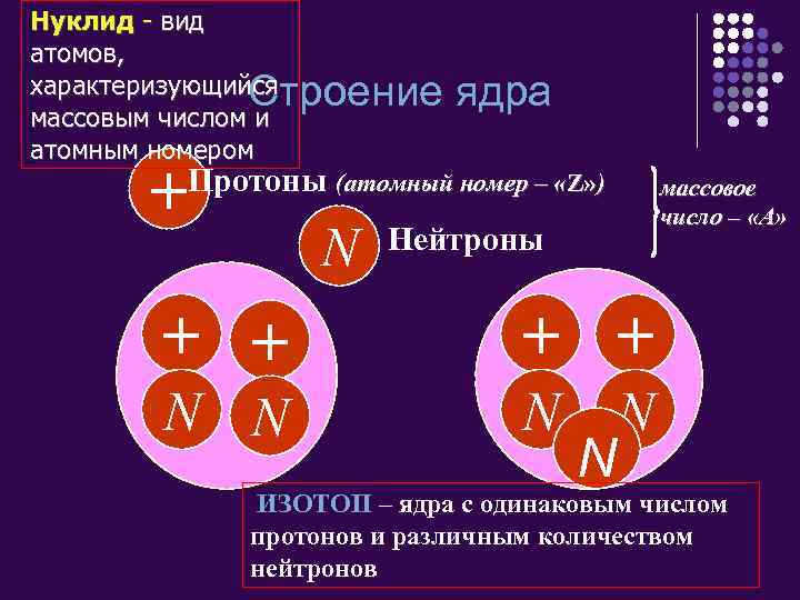 Нуклид - вид атомов, характеризующийся массовым числом и атомным номером Строение ядра + Протоны