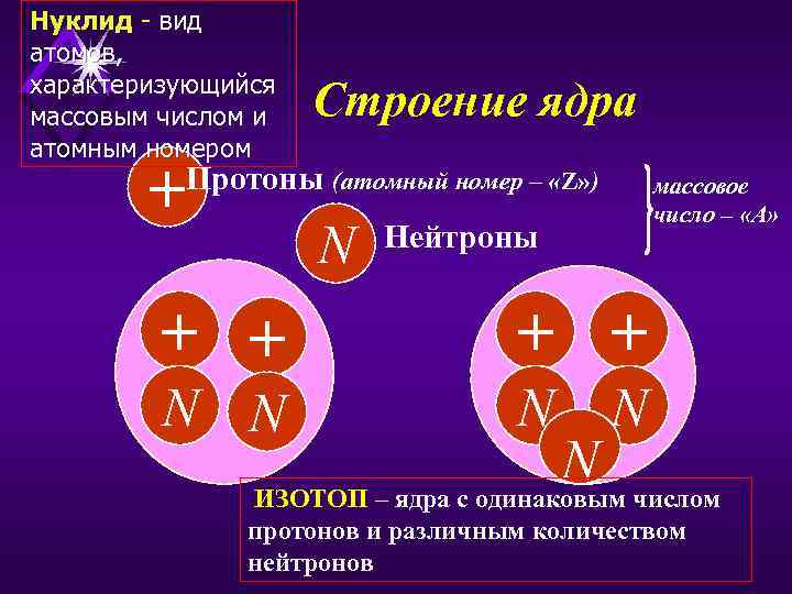 Нуклид - вид атомов, характеризующийся массовым числом и атомным номером + Строение ядра Протоны