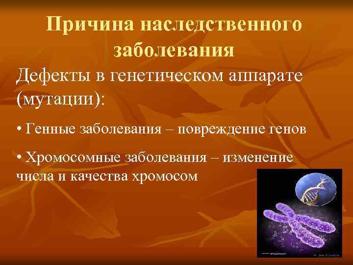 Причина наследственного заболевания Дефекты в генетическом аппарате (мутации): • Генные заболевания – повреждение генов