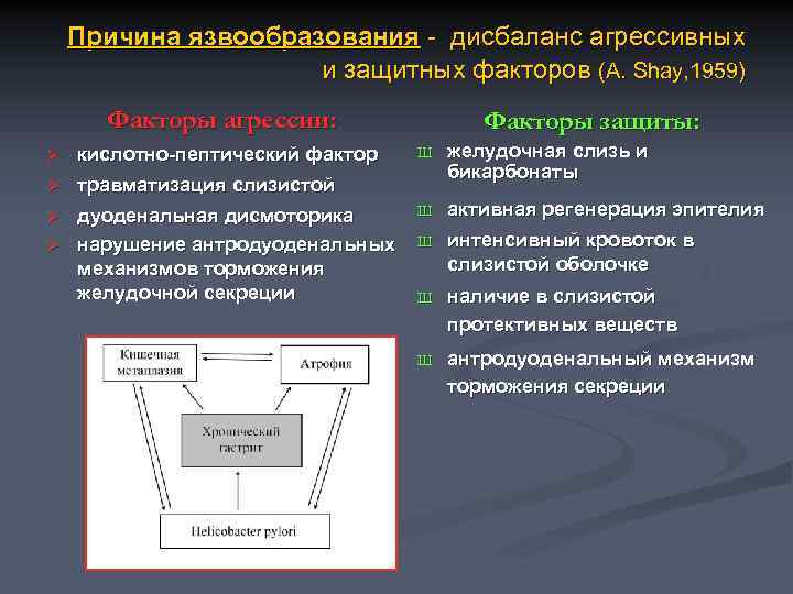 Причина язвообразования - дисбаланс агрессивных и защитных факторов (A. Shay, 1959) Факторы агрессии: Ø