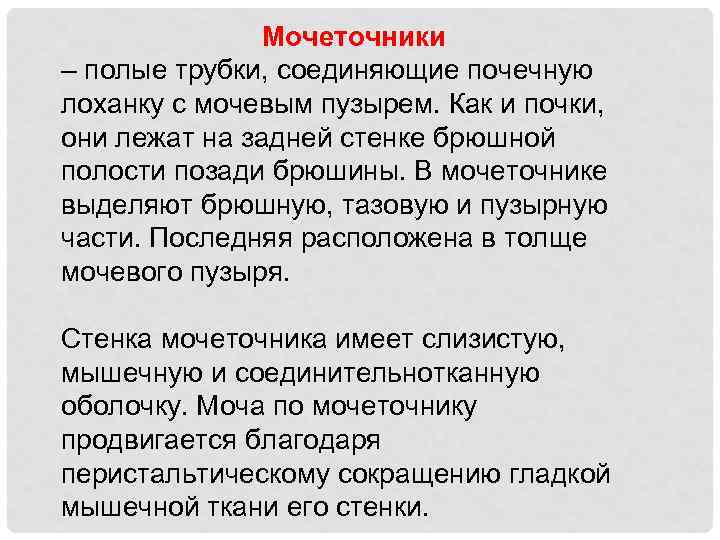 Мочеточники – полые трубки, соединяющие почечную лоханку с мочевым пузырем. Как и почки, они