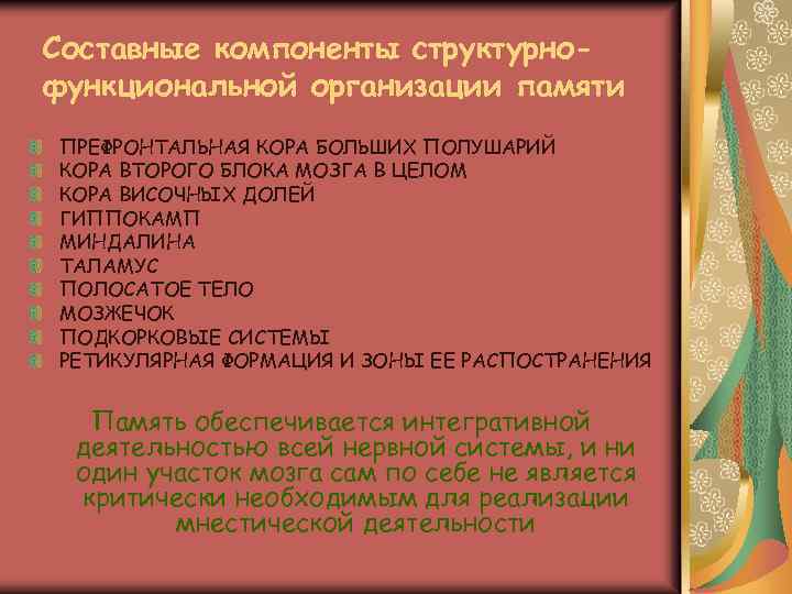 Составные компоненты структурнофункциональной организации памяти ПРЕФРОНТАЛЬНАЯ КОРА БОЛЬШИХ ПОЛУШАРИЙ КОРА ВТОРОГО БЛОКА МОЗГА В