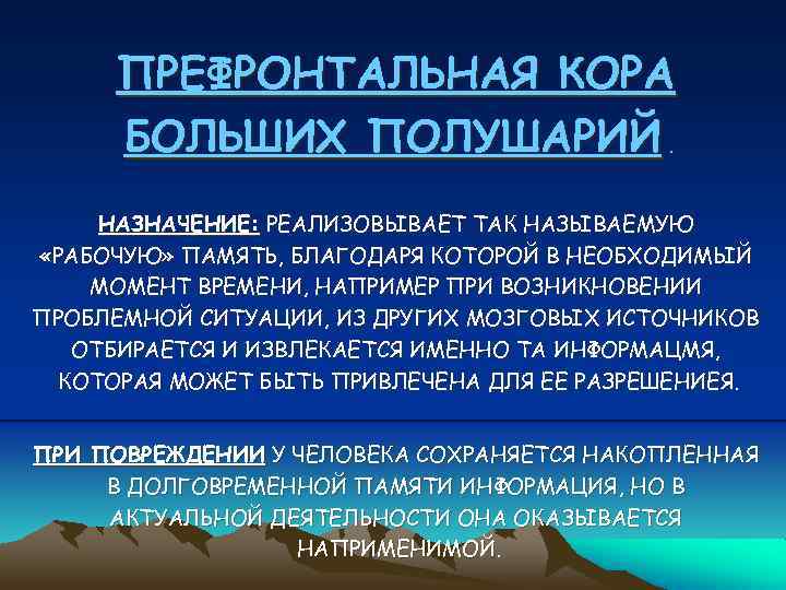 ПРЕФРОНТАЛЬНАЯ КОРА БОЛЬШИХ ПОЛУШАРИЙ. НАЗНАЧЕНИЕ: РЕАЛИЗОВЫВАЕТ ТАК НАЗЫВАЕМУЮ «РАБОЧУЮ» ПАМЯТЬ, БЛАГОДАРЯ КОТОРОЙ В НЕОБХОДИМЫЙ