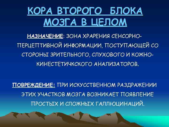 КОРА ВТОРОГО БЛОКА МОЗГА В ЦЕЛОМ НАЗНАЧЕНИЕ: ЗОНА ХРАРЕНИЯ СЕНСОРНОПЕРЦЕПТИВНОЙ ИНФОРМАЦИИ, ПОСТУПАЮЩЕЙ СО СТОРОНЫ
