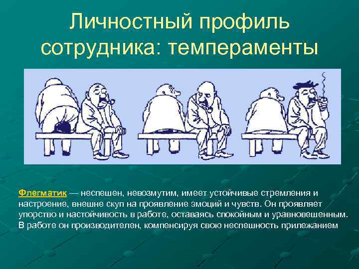 Личностный профиль сотрудника: темпераменты Флегматик — неспешен, невозмутим, имеет устойчивые стремления и настроение, внешне