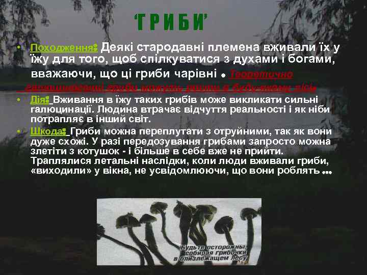 ‘Г Р И Б И’ • Походження: Деякі стародавні племена вживали їх у їжу