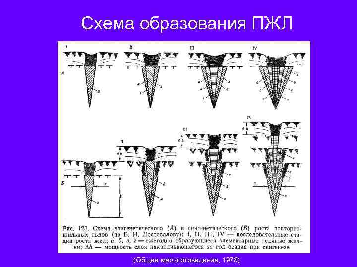 Схема образования ПЖЛ (Общее мерзлотоведение, 1978) 