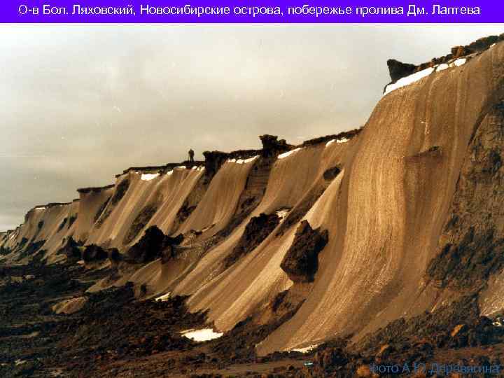 О-в Бол. Ляховский, Новосибирские острова, побережье пролива Дм. Лаптева Фото А. Ю. Деревягина 