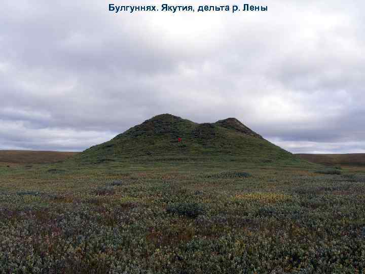 Булгуннях. Якутия, дельта р. Лены 