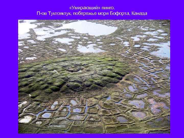  «Умирающий» пинго. П-ов Туктояктук, побережье моря Бофорта, Канада 
