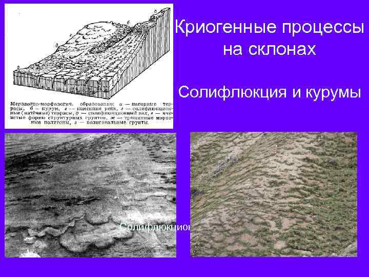 Криогенные процессы на склонах Солифлюкция и курумы Солифлюкционные языки 