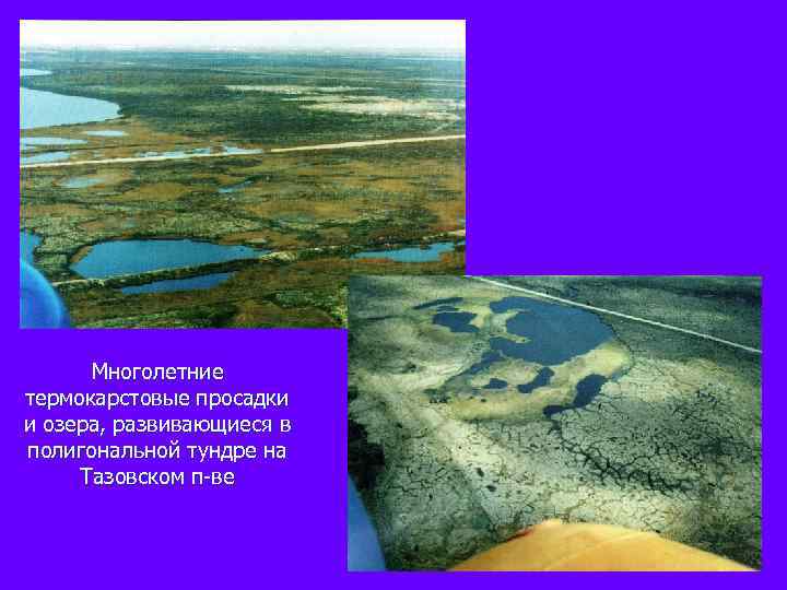 Многолетние термокарстовые просадки и озера, развивающиеся в полигональной тундре на Тазовском п-ве 