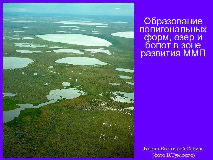Образование полигональных форм, озер и болот в зоне развития ММП Болота Восточной Сибири (фото