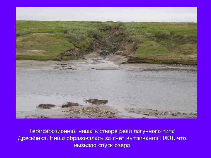 Термоэрозионная ниша в створе реки лагунного типа Дресвянка. Ниша образовалась за счет вытаивания ПЖЛ,