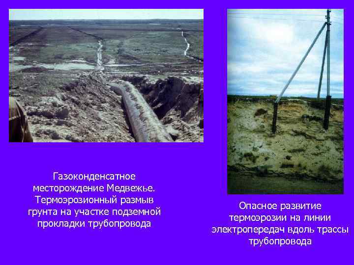 Газоконденсатное месторождение Медвежье. Термоэрозионный размыв грунта на участке подземной прокладки трубопровода Опасное развитие термоэрозии